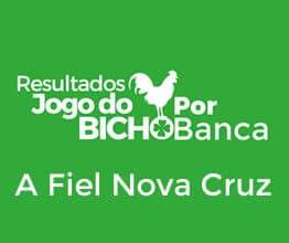 Resultados do Jogo do Bicho da Banca Capital Loterias de Paraíba